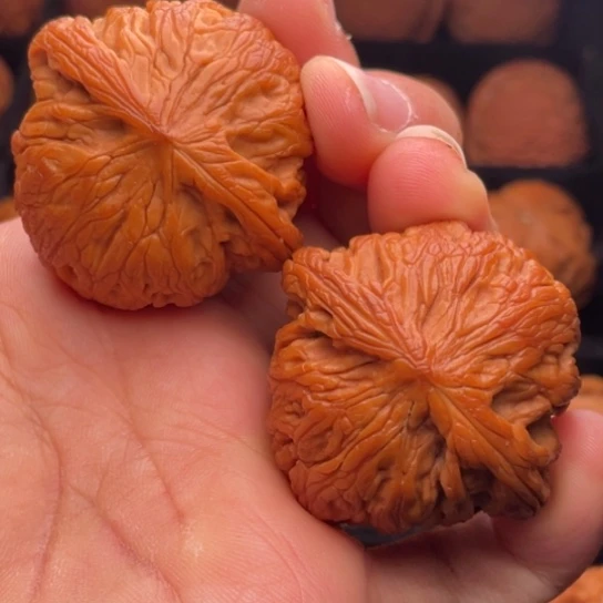 文玩核桃把件秦岭山脉核桃