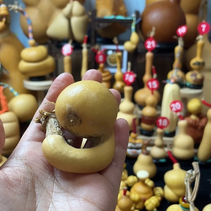 喝***e葫芦丝老师在讲台旁等