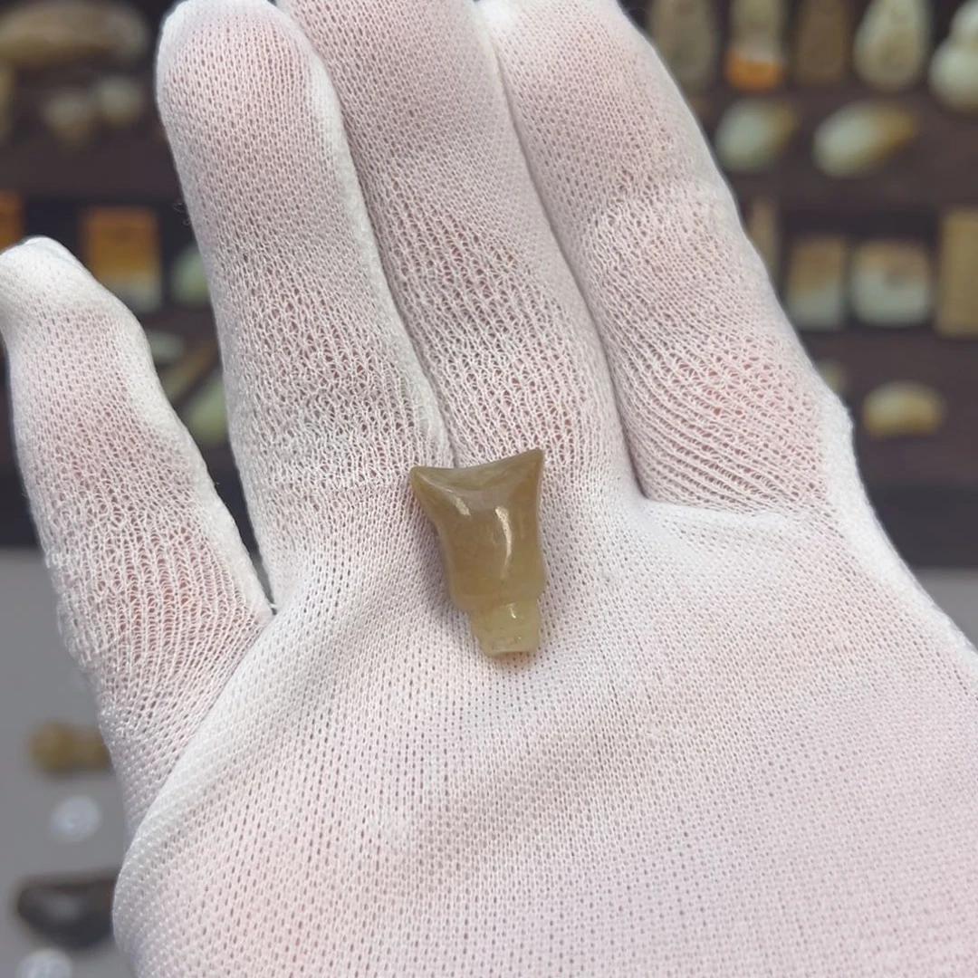 岫岩河磨玉（透闪石质玉）未镶嵌颈饰