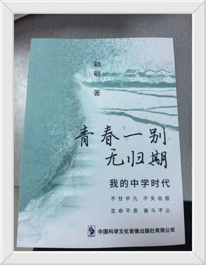 翩翩 青春一别无归期-我的中学时代办公本