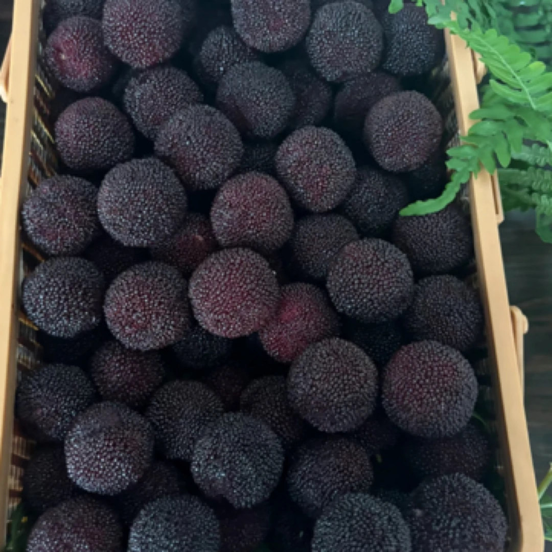 荸荠杨梅黑炭杨梅 一盒一斤装