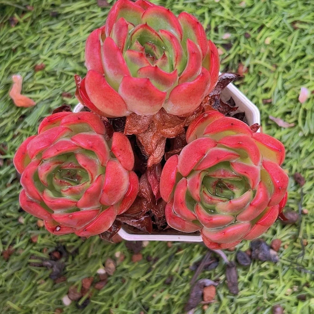 9999999999999999999999