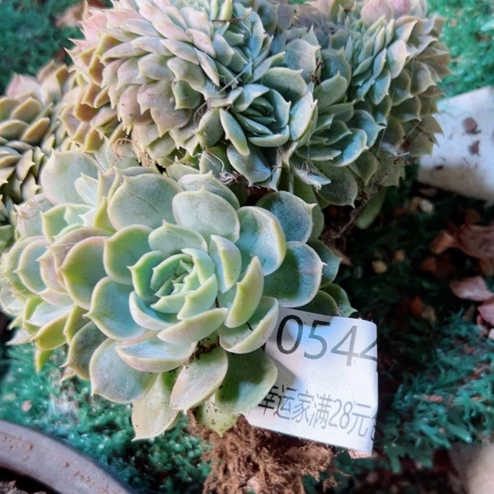 幸运的是我还没遇到过