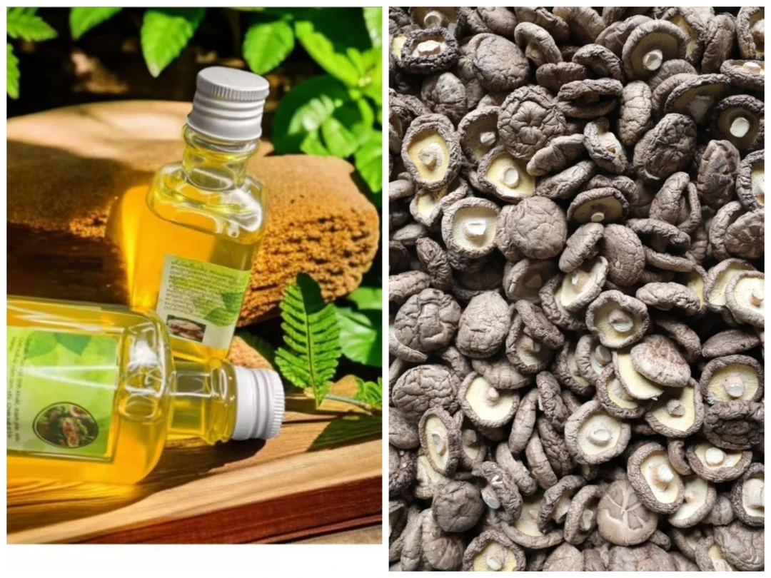 土特产≈[≈零食链接≈]非香菇