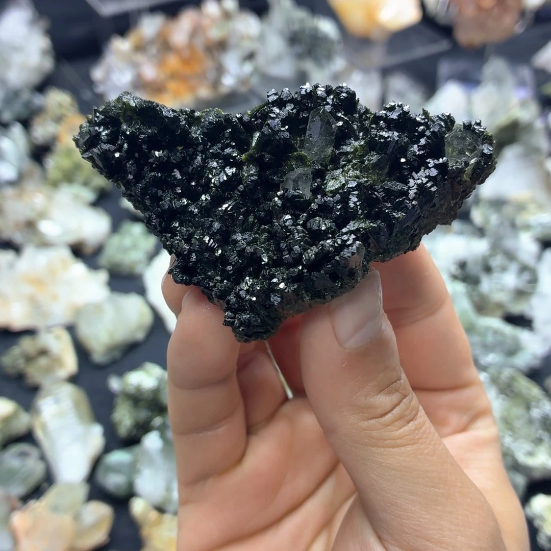 石材黑森林的躲避屋