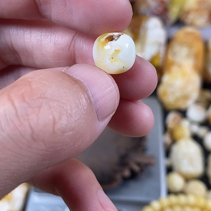 裸石琥珀未镶嵌我