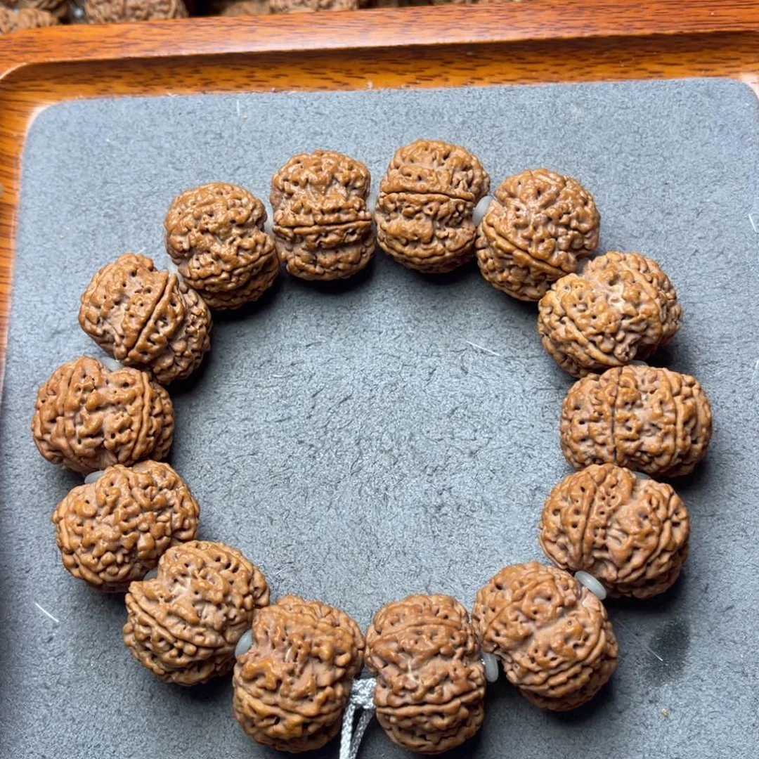 菩提7号金刚菩提原生态六瓣25