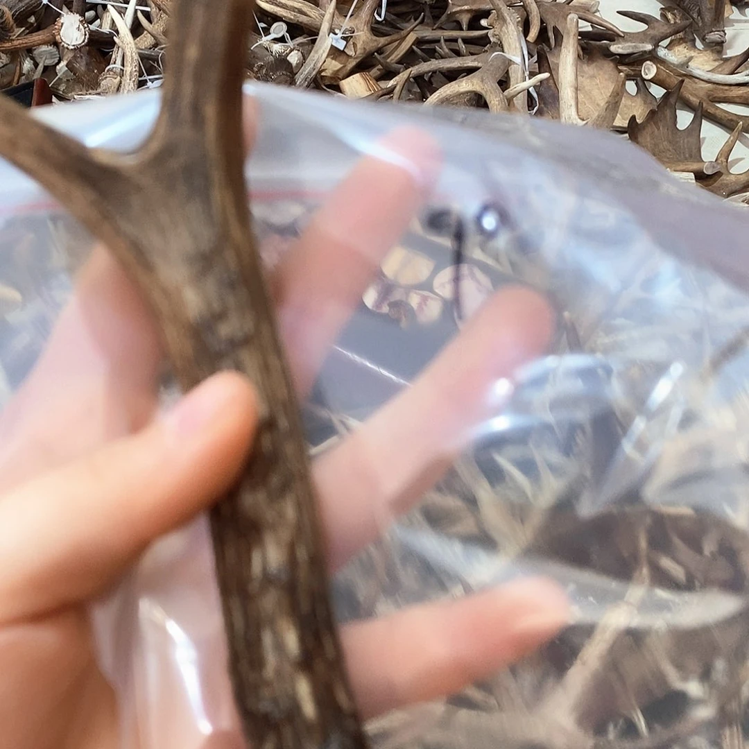 鹿角鹿角鹿角鹿面鹿