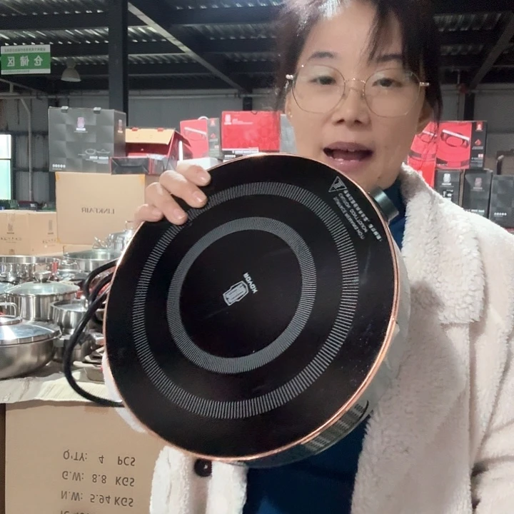 18-10不锈钢莱德斯电磁炉