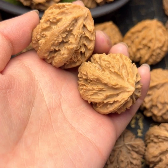 文玩核桃把件秦岭核桃5