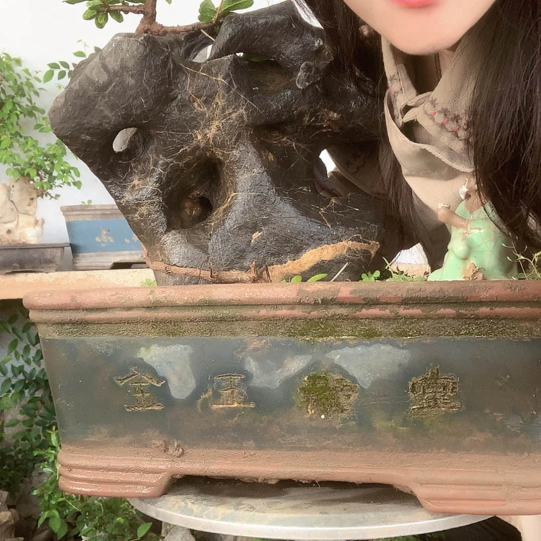 胖*盆景园林石景园林