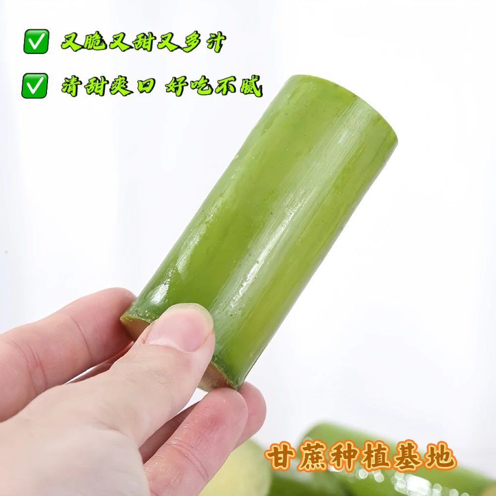 【优质中段独立包装】青皮手撕甘蔗水份充足脆甜爽口