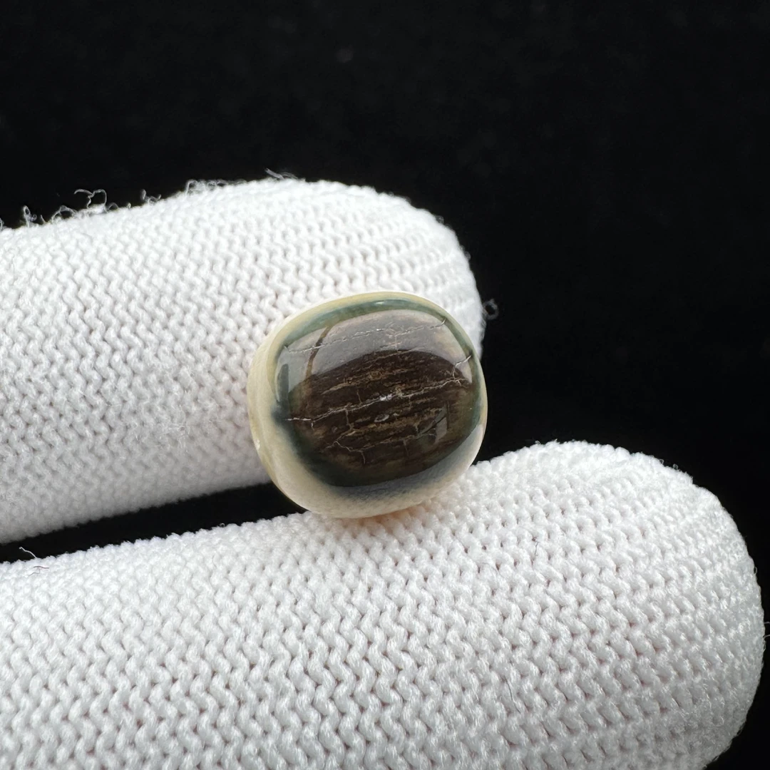 D4748天然猛犸牙精品蓝眼珠 11.3*12mm支持鉴定 假一罚四