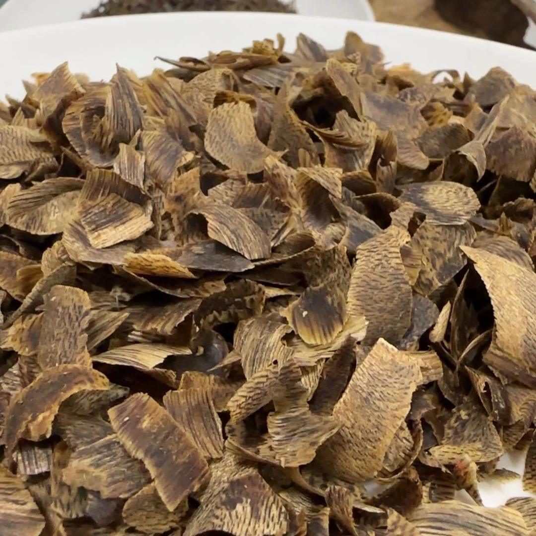 沉香木摆件海南棋楠沉香透顶绿切片料20