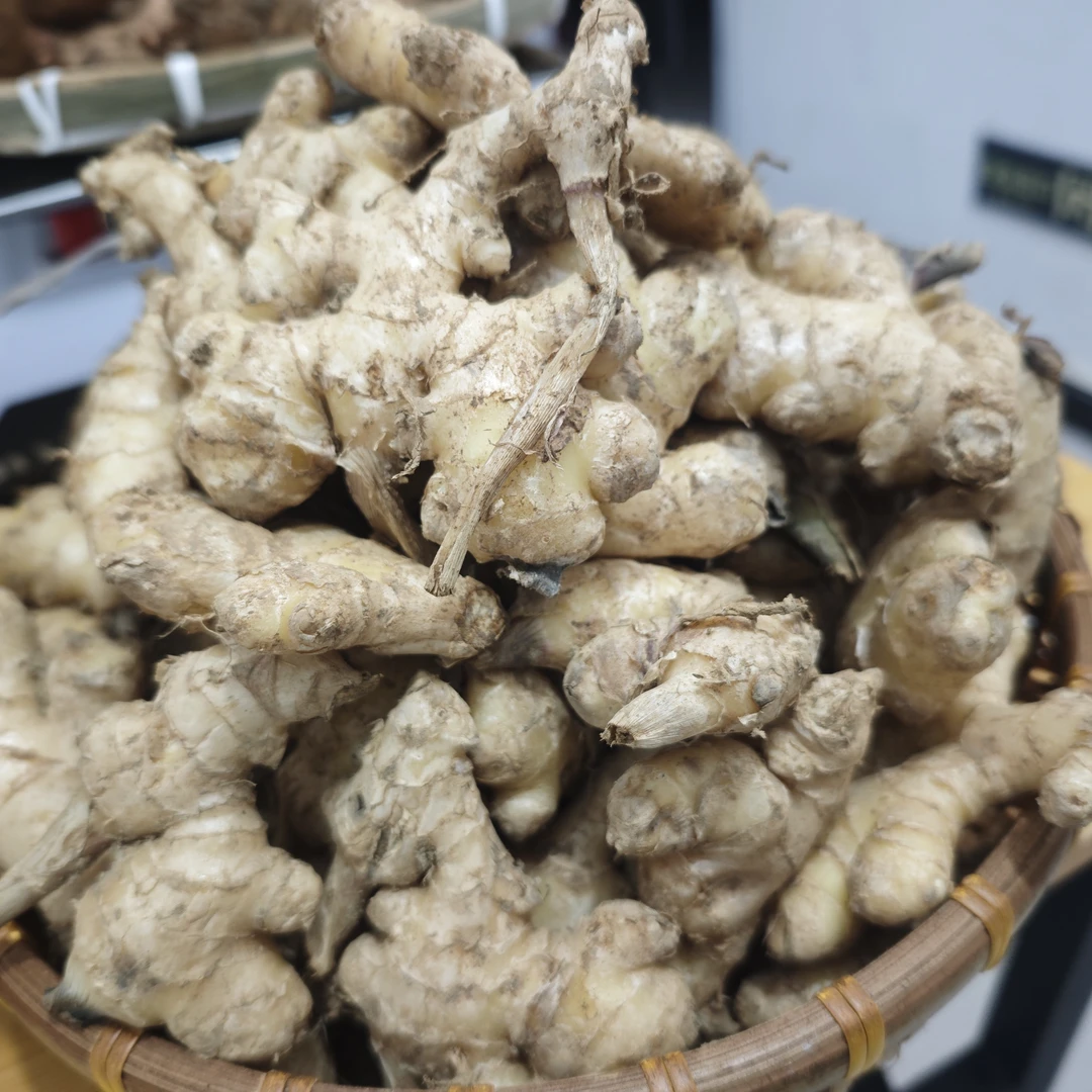 贵州遵义土姜新鲜