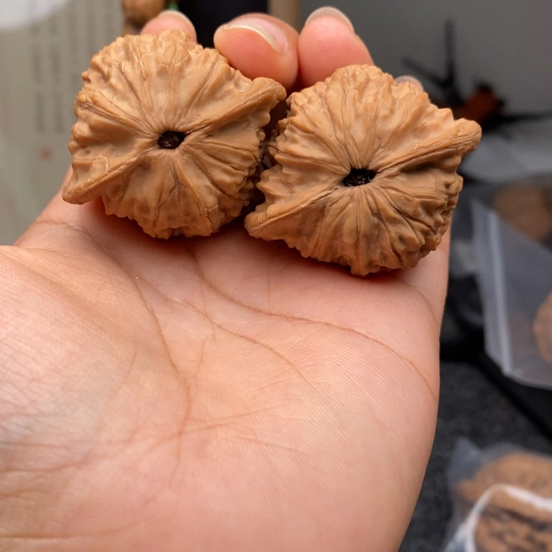 文玩核桃把件热***黄41公子帽