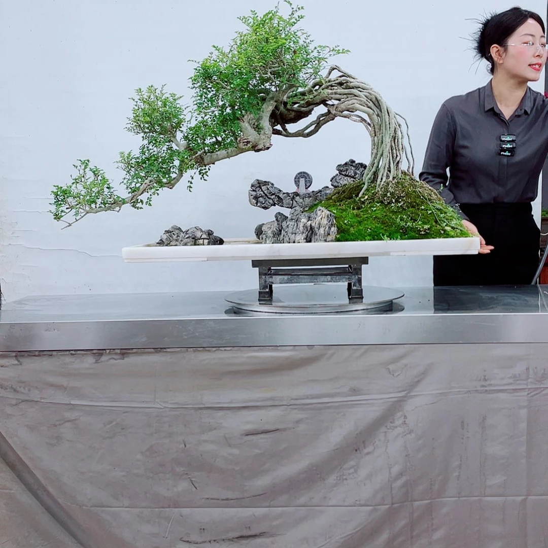 无铅玻璃和**丽岭南派盆景艺术中心