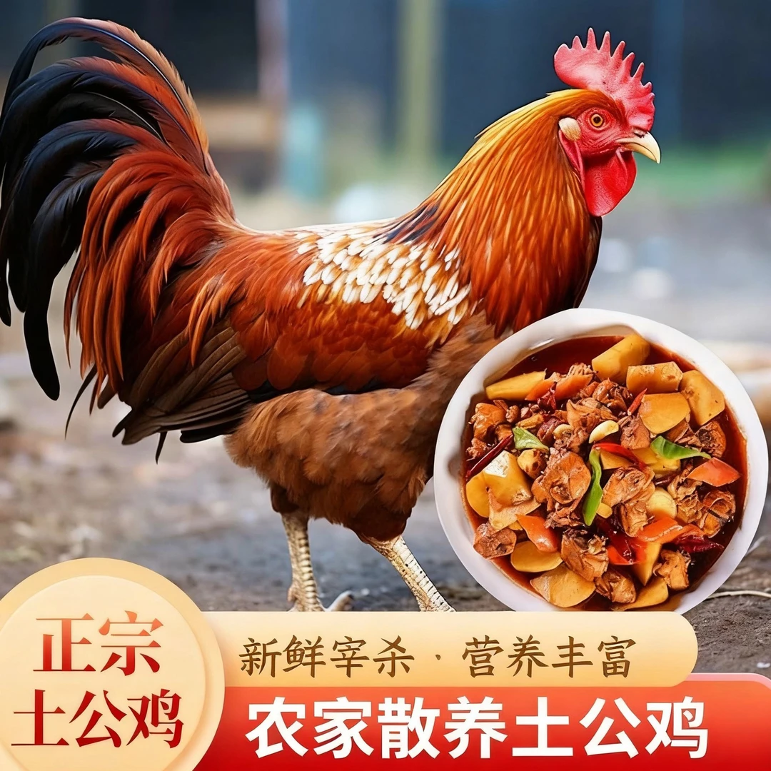 现杀买 3送1共4只毛重13-15斤净重9-10斤散养土公鸡带内脏