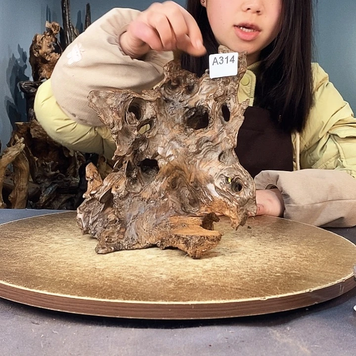 茶盏两****帝314株木的随行根艺