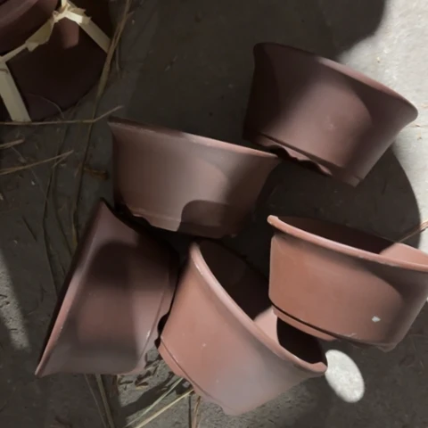 50-5。      18-9。