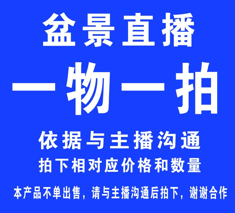 一物一拍梅花盆景培植耐寒阳台客厅地栽好养冬季香味耐热造型