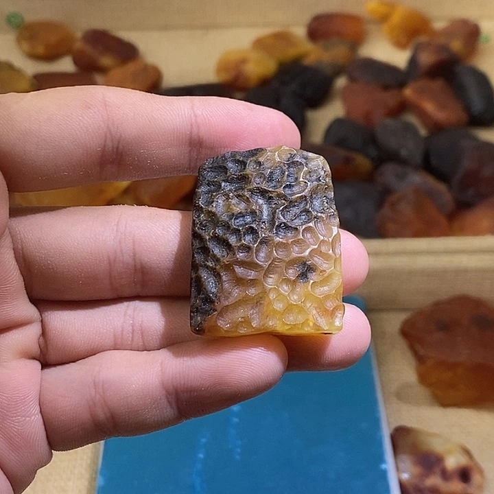 琥珀未镶嵌裸石植物珀
