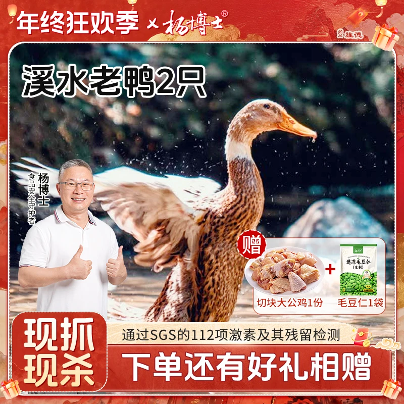 【2只溪水老鸭】杨博士皖南溪水放养500天土鸭子散养新鲜现杀鸭子