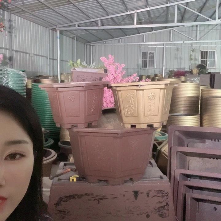 八角50花盆2个有孔