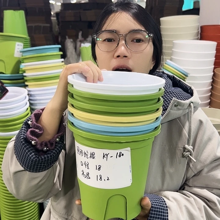 正品圆控口18高18果绿色无托8只