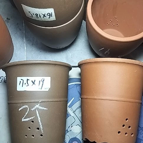 红泥紫泥腰缠万贯两个微瑕