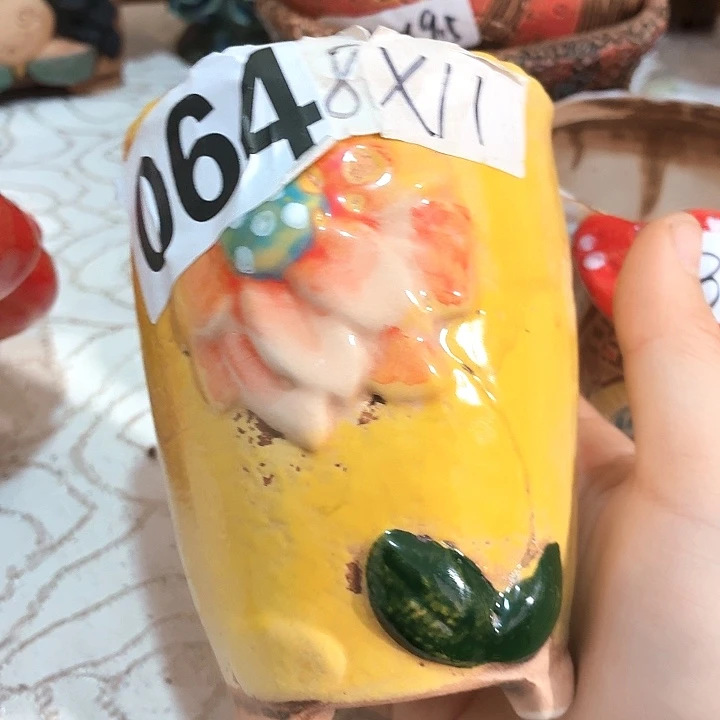 多肉花盆满15包邮