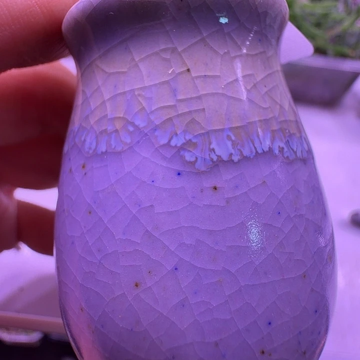 盆37，香芋紫小老桩拇指盆，多肉盆闲置处理福利出！