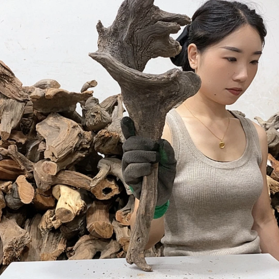 【闪购商品】柏木申*我们都是好孩子