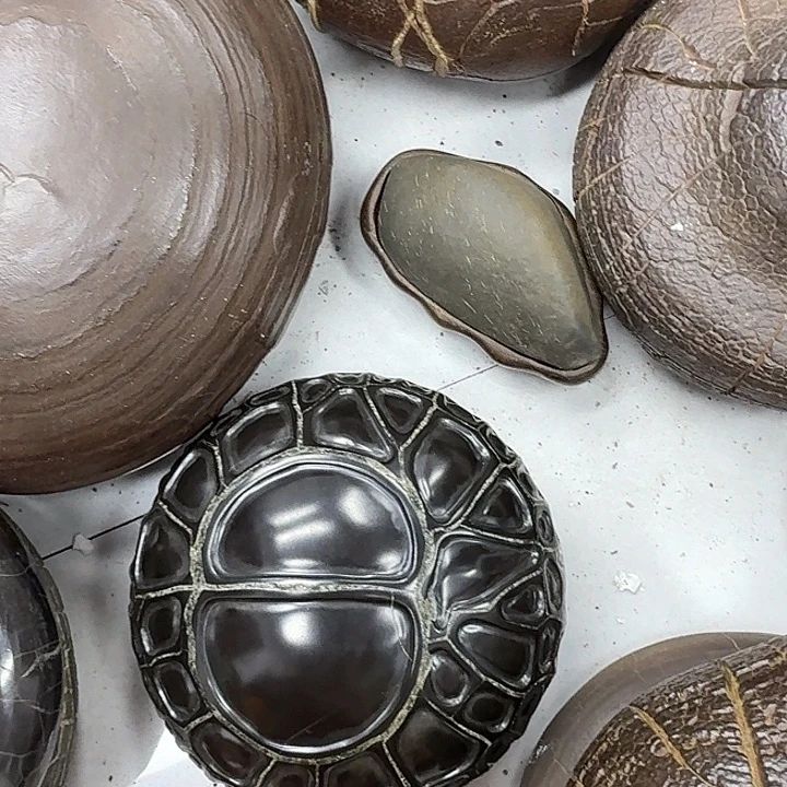 Q***C石材龟纹石最低啦