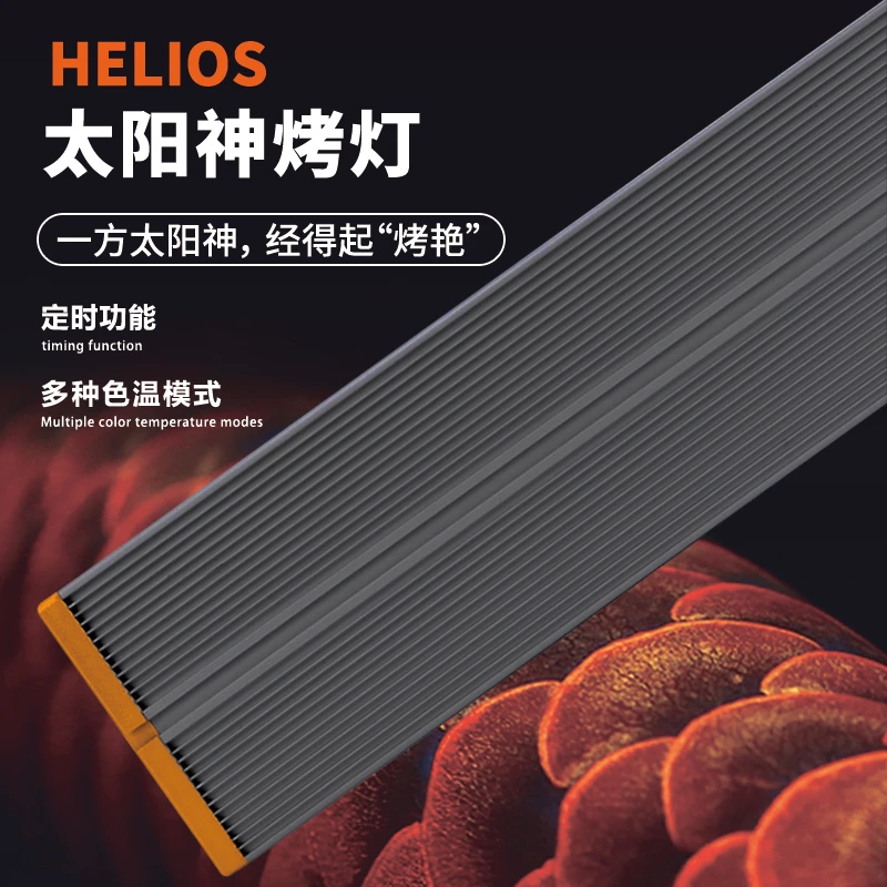热带观赏鱼龙鱼一方太阳神烤灯