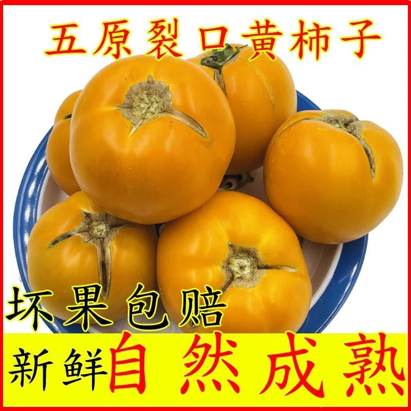 内蒙古五原裂口黄色西红柿番茄生吃食用新鲜采摘自然熟现摘