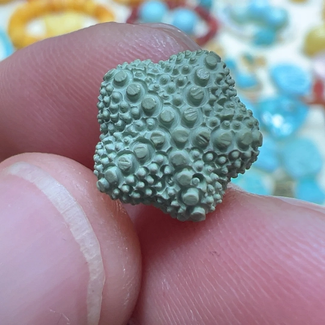 未镶嵌绿松石颈饰海星