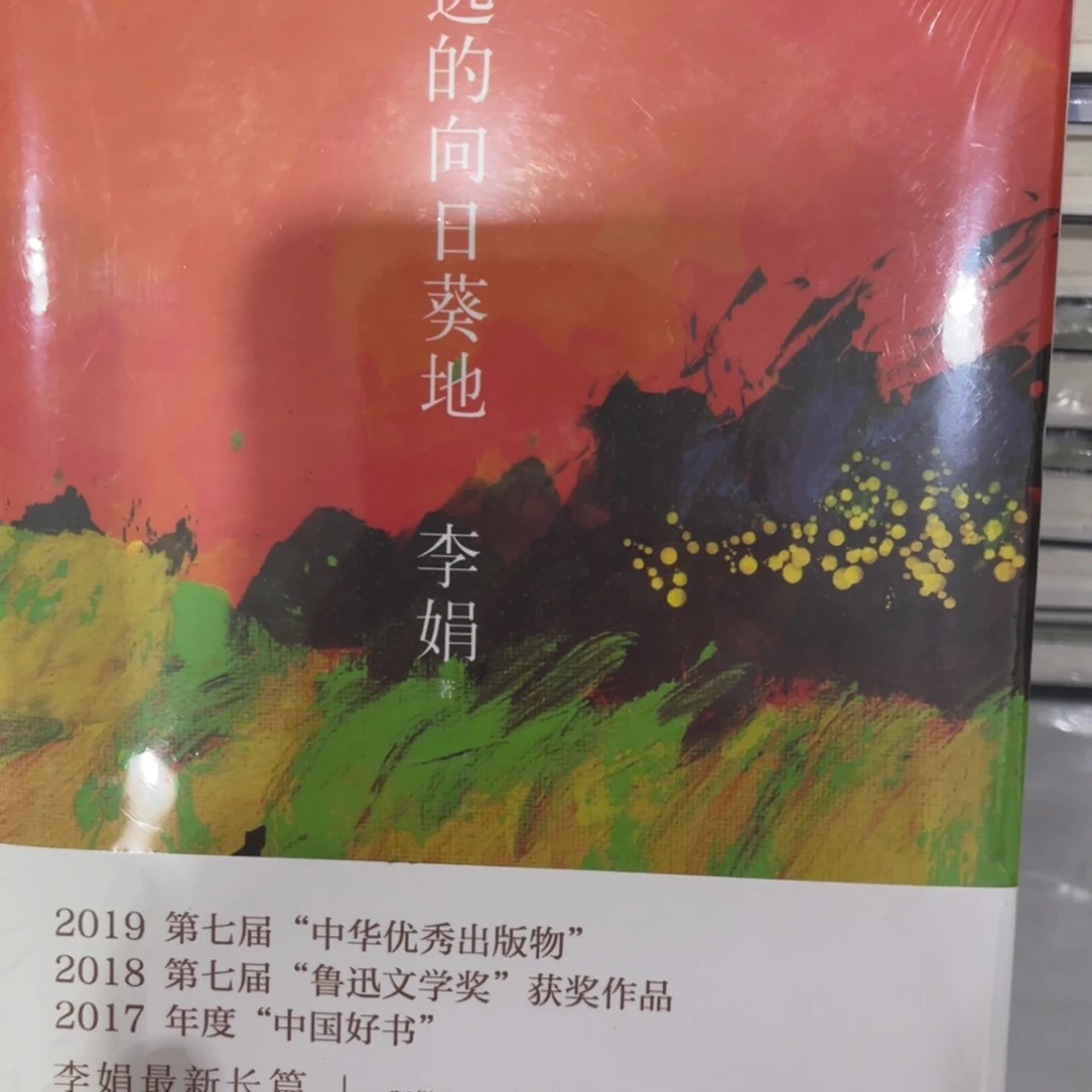 逸远的向日民生福祉