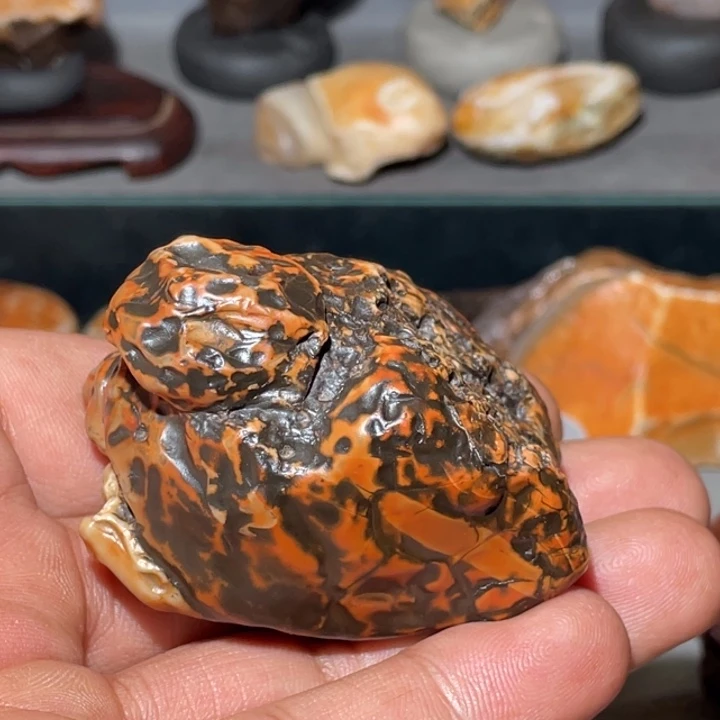 虎***歌石材阿拉善沙漠奇石