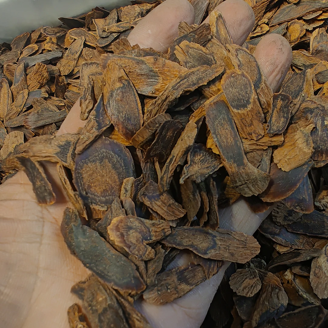 陈年老高丽参边角片 （介意小勿拍）参味浓郁不上火