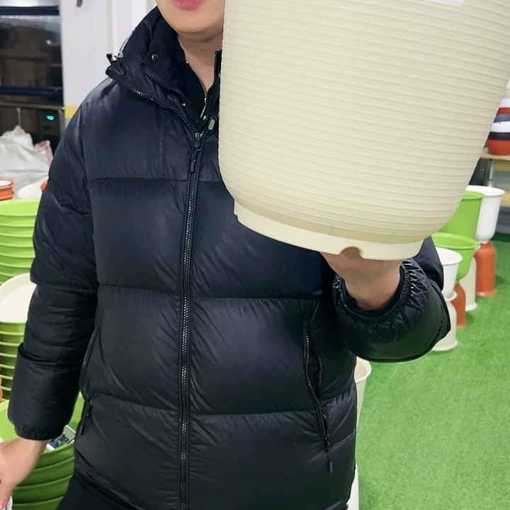 正品高陶口30高31米色3只无托