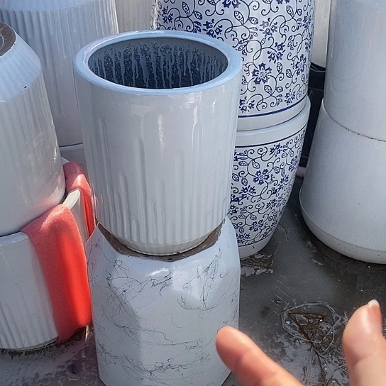 白音符中口26/36福利