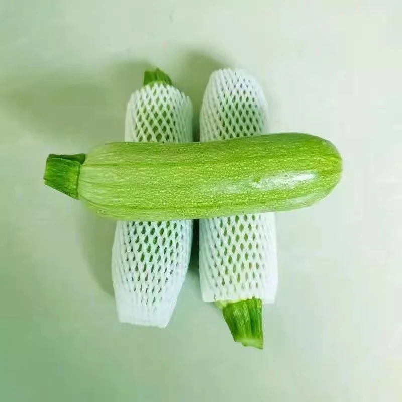 【5斤包邮】新鲜西葫芦农户露天种植现摘现卖5斤