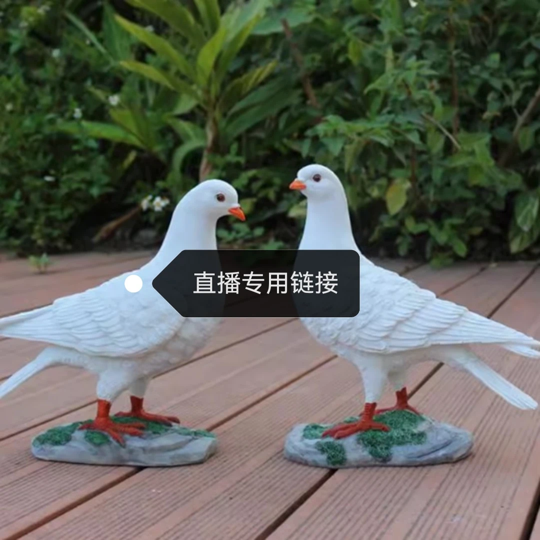 信鸽 幼鸽 成绩鸽 天落 活体 用品