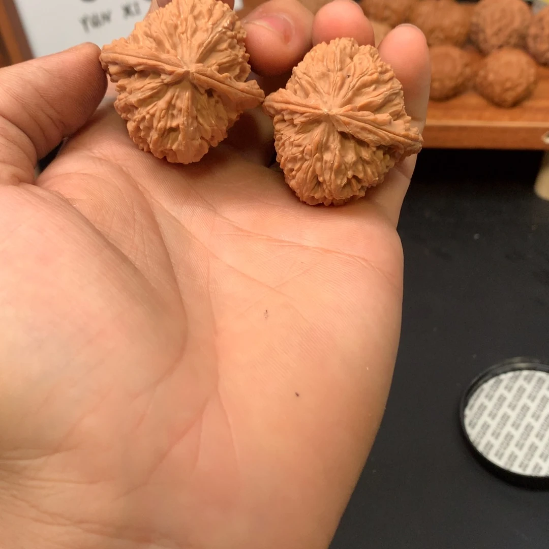 把件文玩核桃39白狮子