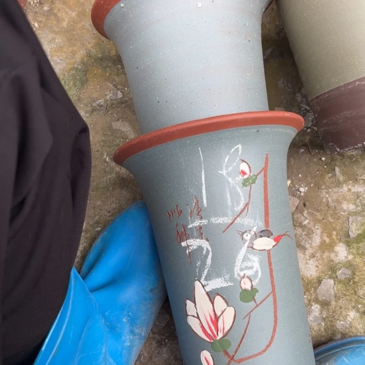花盆紫砂紫砂的花