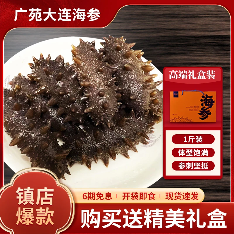 大连即食辽参500克约6—12条鲜食海参真空包装