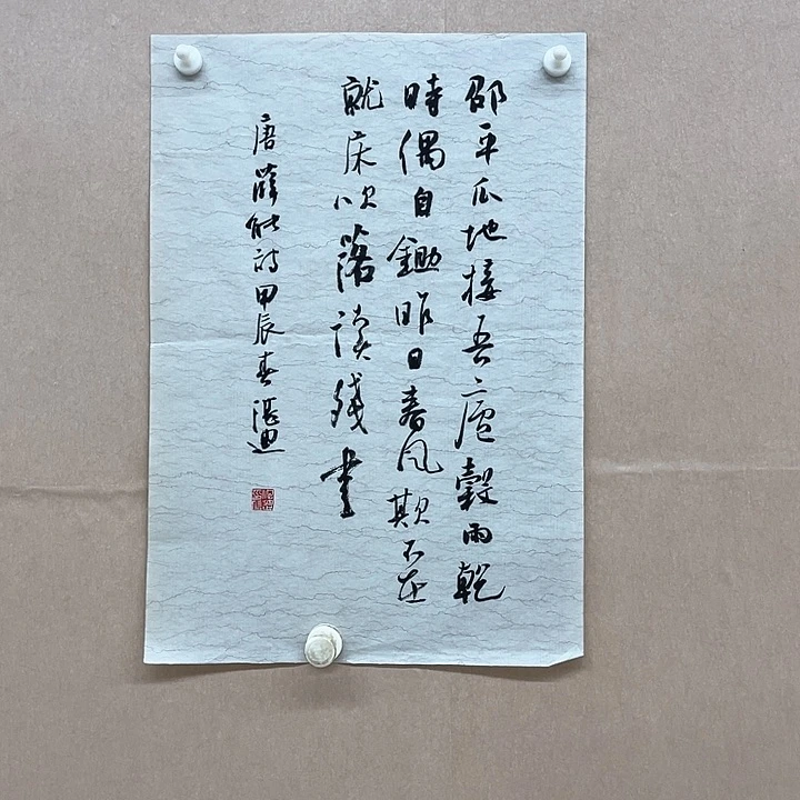 书法王湛迪30*43㎝吉林LS  书法硕S