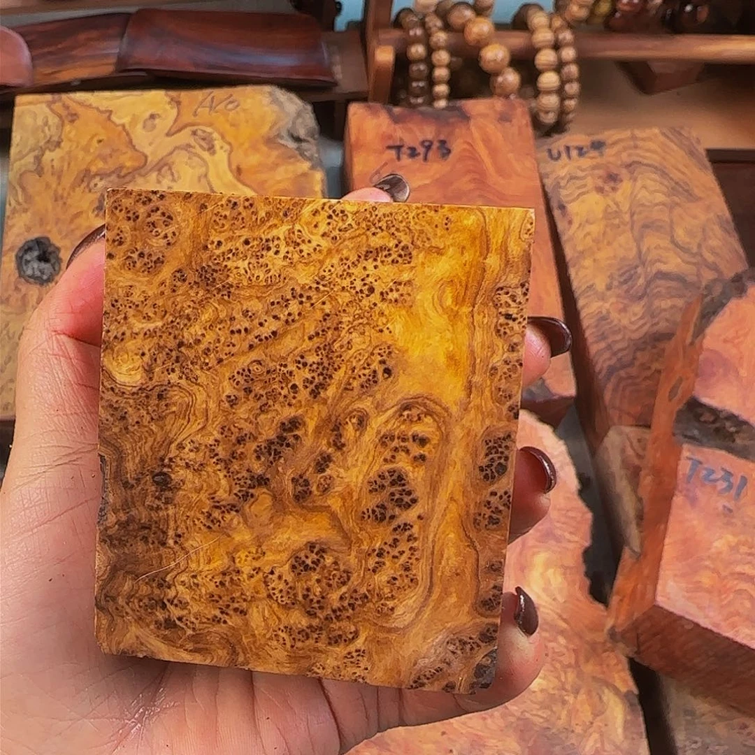 木用****1鬼柳尖叶木栖榄