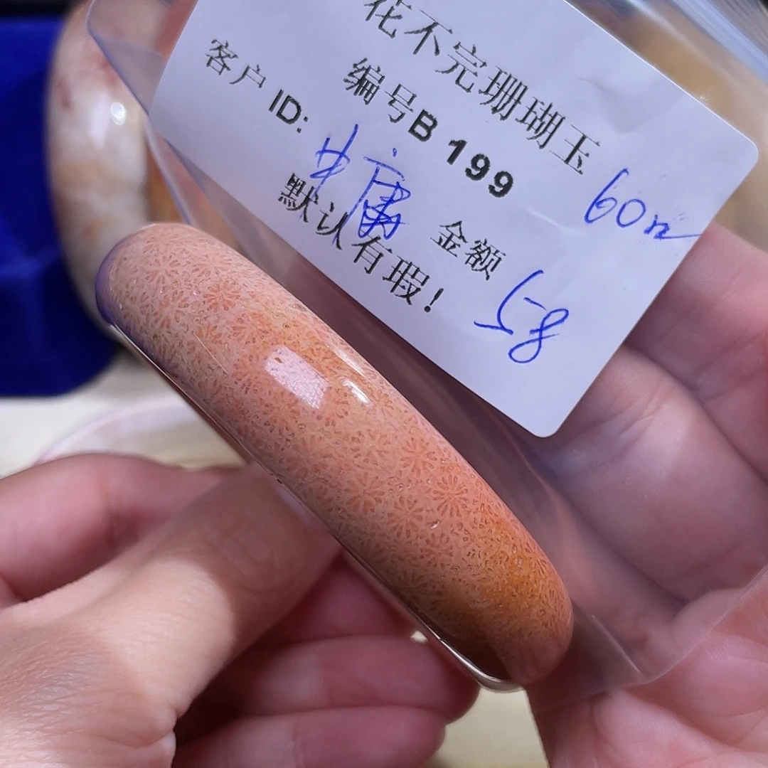 硅化玉颈饰未镶嵌中*